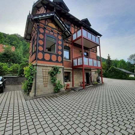 Ferienwohnung Villa Frosch Майнинген Экстерьер фото
